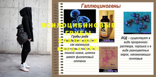 apvp Горно-Алтайск