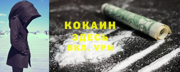 PSILOCYBIN Горняк