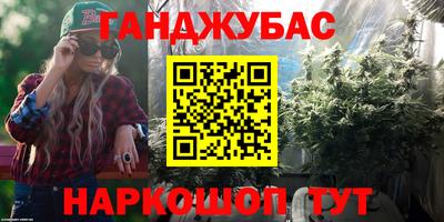 кокс Кингисепп