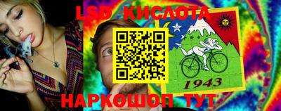 кокс Кингисепп
