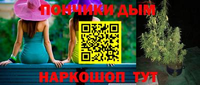 кокс Кингисепп