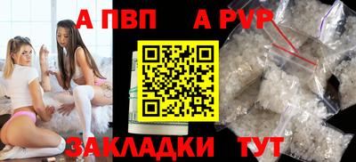 кокс Кингисепп