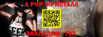 кокс Кингисепп