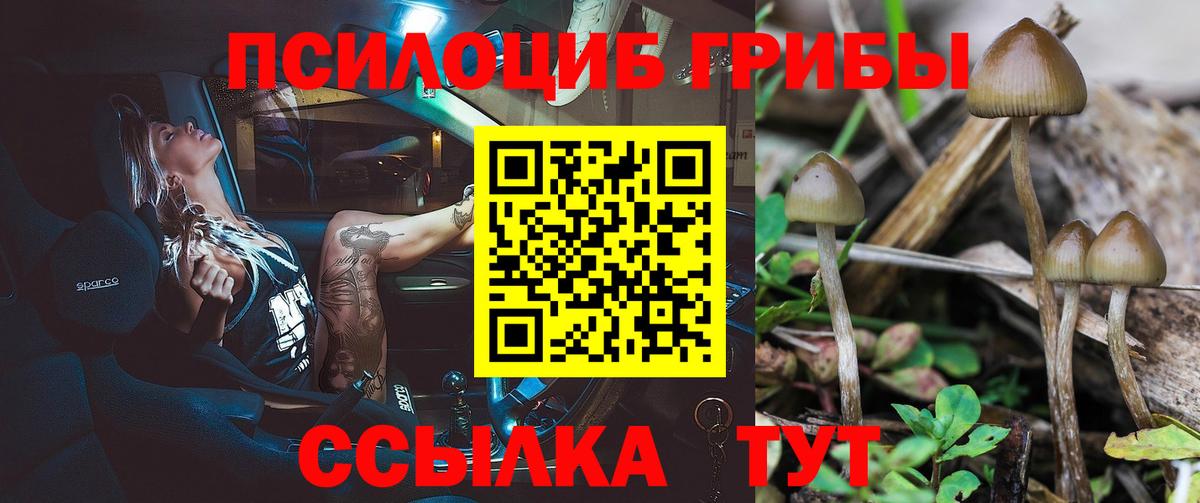 Миасс  Галлюциногенные грибы Cubensis  Вход с VPN 